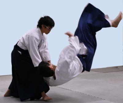 Aikido Nikkyo