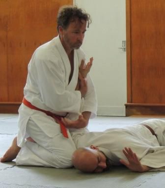 aikido Pin