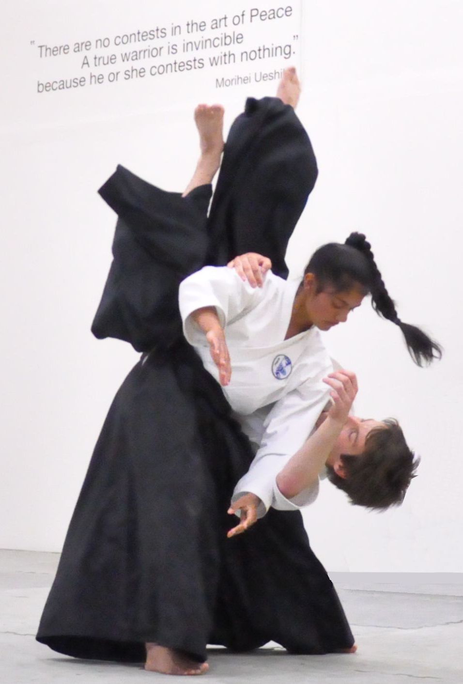 Aikido Koshi Nage